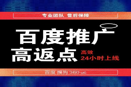 行业标杆：SEM推广代运营成功案例